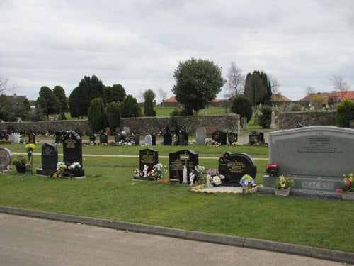 Ballingry Cemetery- Fife PDF
