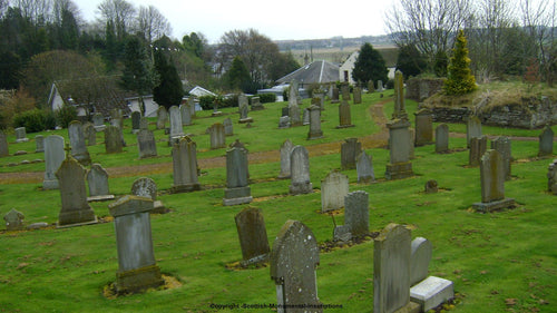 Barry Churchyard- Angus PDF