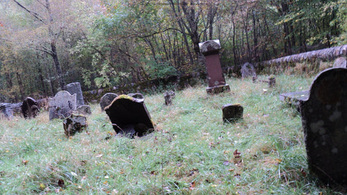 Dunalastair Estate Burial Grounds-Clan Chiefs Perthshire PDF