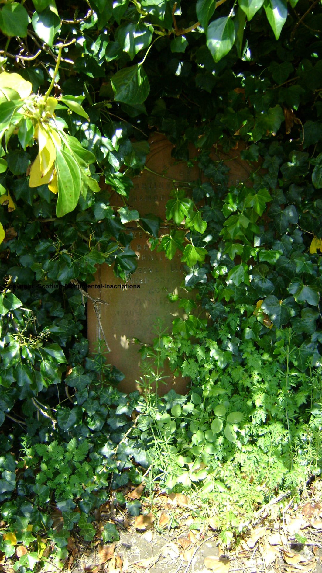 New Cumnock Old Churchyard - Ayrshire PDF