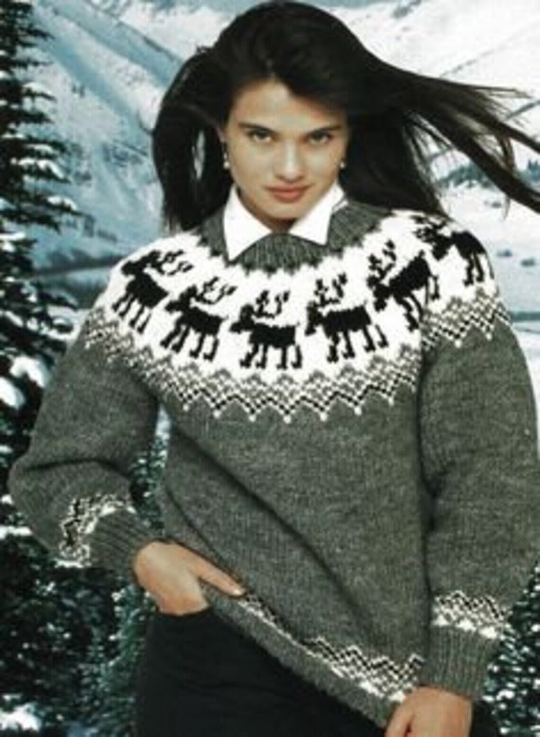 Moose Reindeer Motif Nordic Fair Isle Womens 30