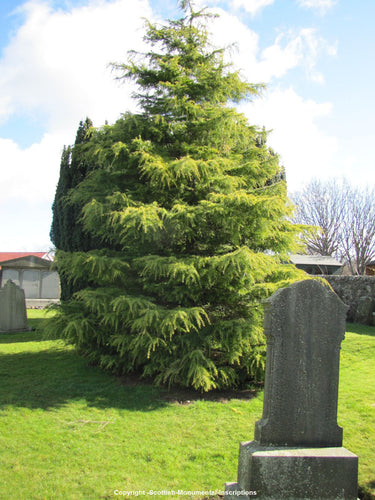 Ceres Church & Cemetery- Nr Cupar- Fife PDF